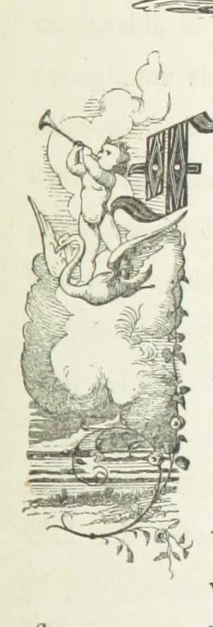 An illustration from Ons Vaderland en zijne Bewoners ... Met ... platen, etc, 1855, leaf 135