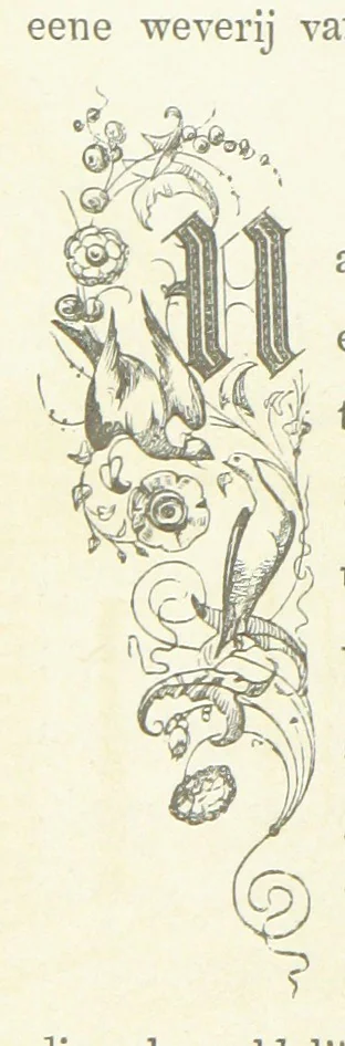 An illustration from Ons Vaderland en zijne Bewoners ... Met ... platen, etc, 1855, leaf 140