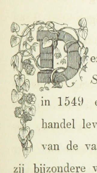An illustration from Ons Vaderland en zijne Bewoners ... Met ... platen, etc, 1855, leaf 295
