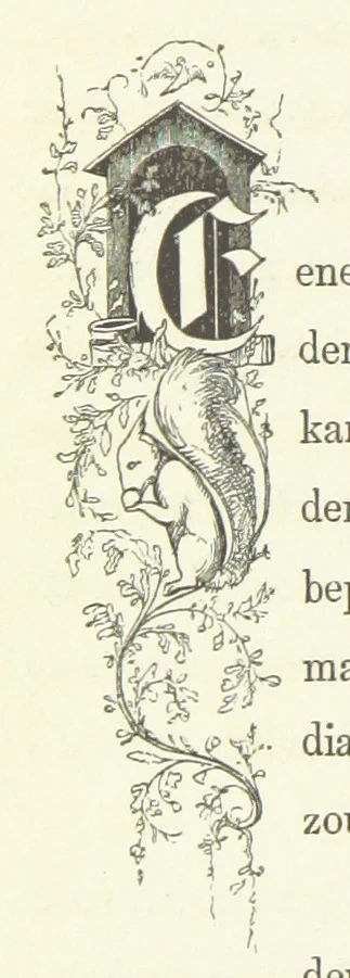 An illustration from Ons Vaderland en zijne Bewoners ... Met ... platen, etc, 1855, leaf 388