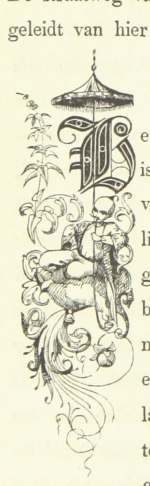 An illustration from Ons Vaderland en zijne Bewoners ... Met ... platen, etc, 1855, leaf 390