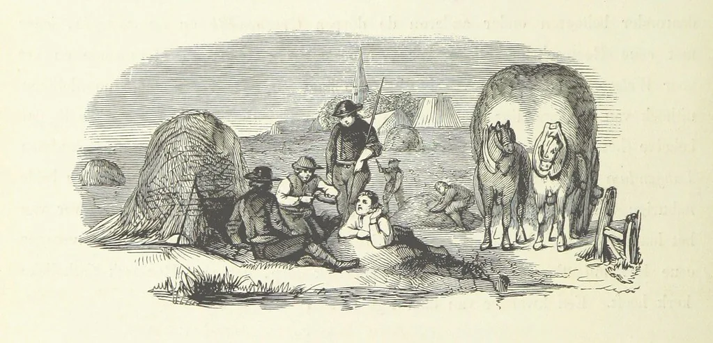 An illustration from Ons Vaderland en zijne Bewoners ... Met ... platen, etc, 1855, leaf 528