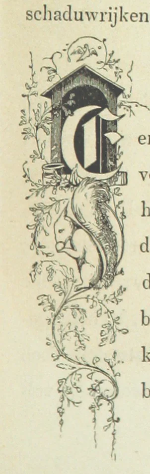 An illustration from Ons Vaderland en zijne Bewoners ... Met ... platen, etc, 1855, leaf 59