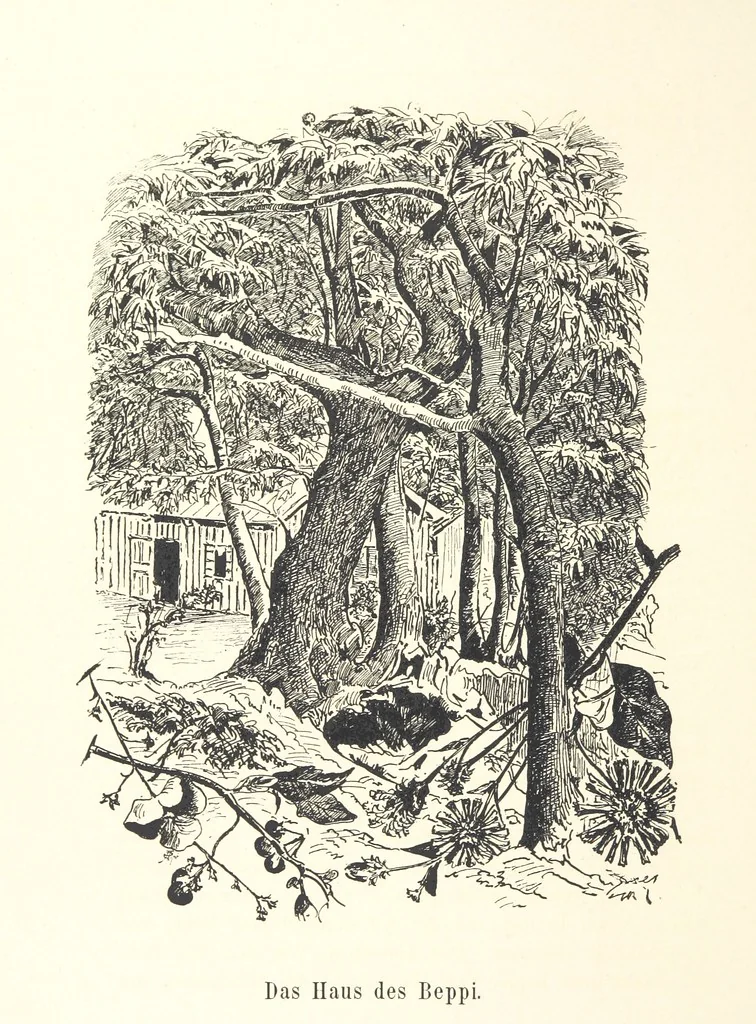 An illustration from Lose Blätter aus Abazia. Mit 32 Illustrationen. [By Louis Salvator, Archduke of Austria, 1886, leaf 114