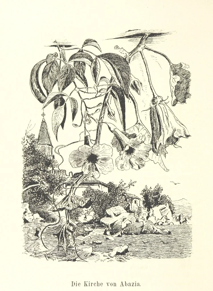 An illustration from Lose Blätter aus Abazia. Mit 32 Illustrationen. [By Louis Salvator, Archduke of Austria, 1886, leaf 76