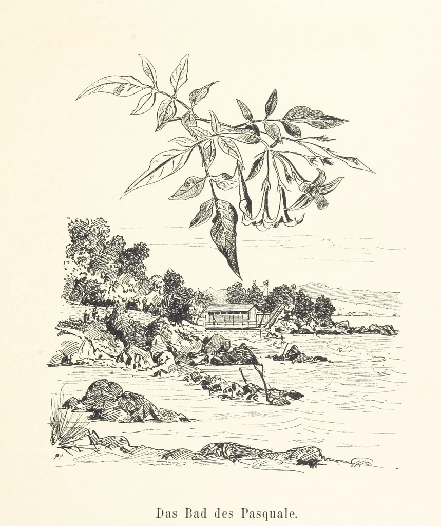 An illustration from Lose Blätter aus Abazia. Mit 32 Illustrationen. [By Louis Salvator, Archduke of Austria, 1886, leaf 89