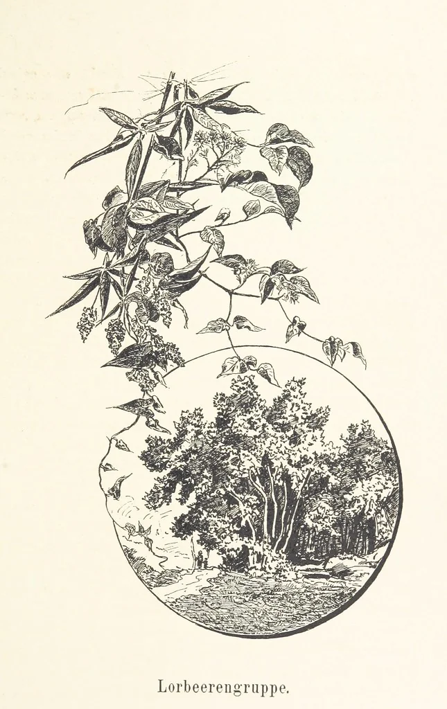 An illustration from Lose Blätter aus Abazia. Mit 32 Illustrationen. [By Louis Salvator, Archduke of Austria, 1886, leaf 95