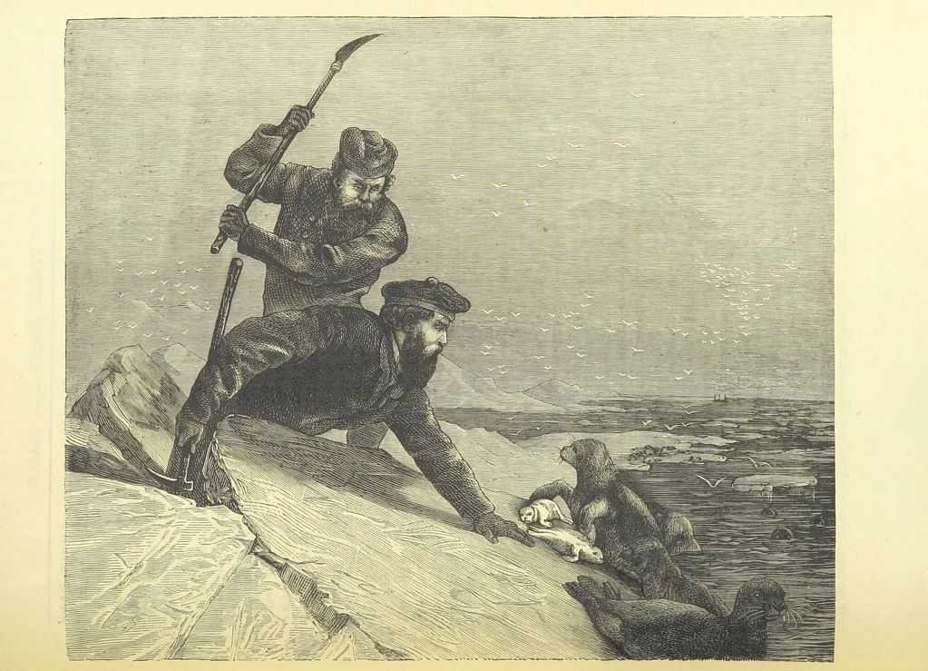 An illustration from Adventures round the World. With ... illustrations, 1880, leaf 101