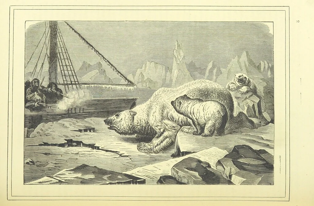 An illustration from Adventures round the World. With ... illustrations, 1880, leaf 125