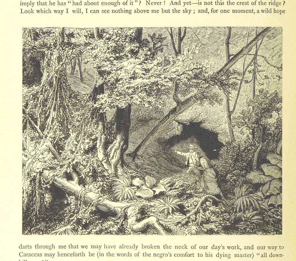 An illustration from Adventures round the World. With ... illustrations, 1880, leaf 140