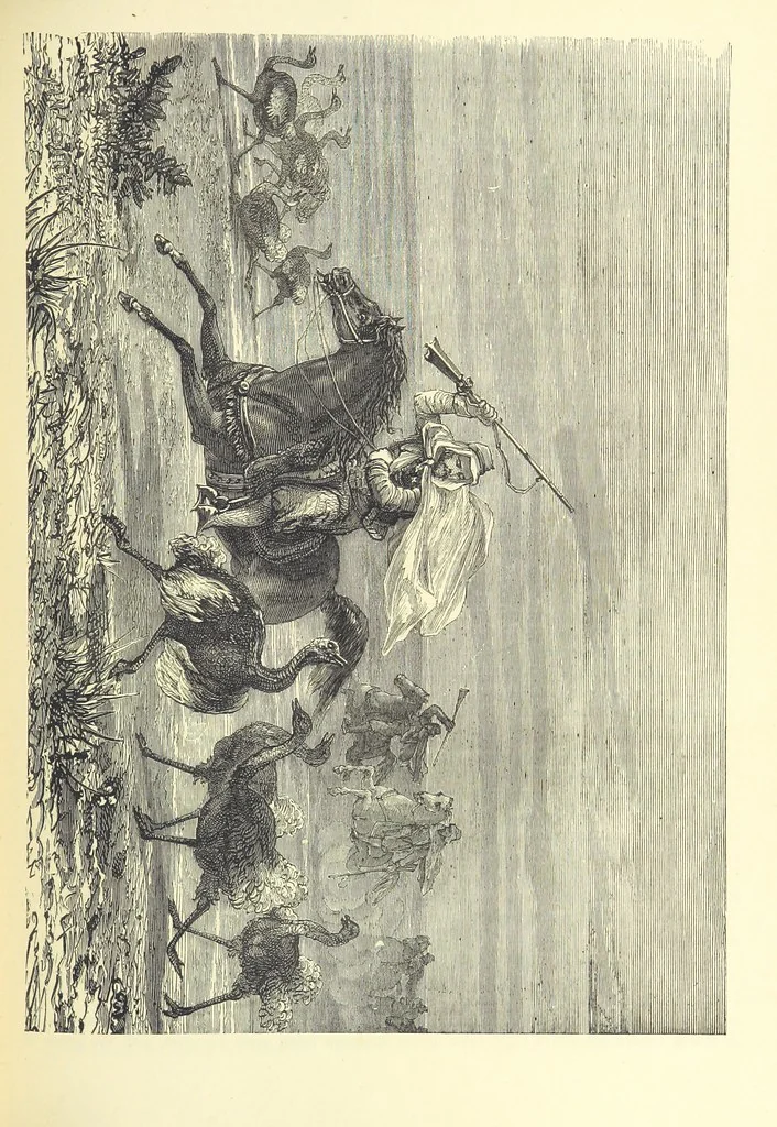 An illustration from Adventures round the World. With ... illustrations, 1880, leaf 149