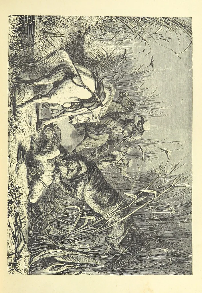 An illustration from Adventures round the World. With ... illustrations, 1880, leaf 15