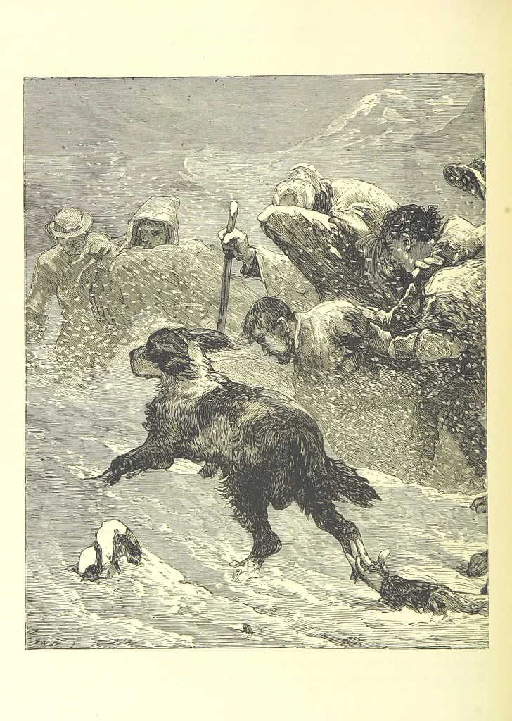 An illustration from Adventures round the World. With ... illustrations, 1880, leaf 198
