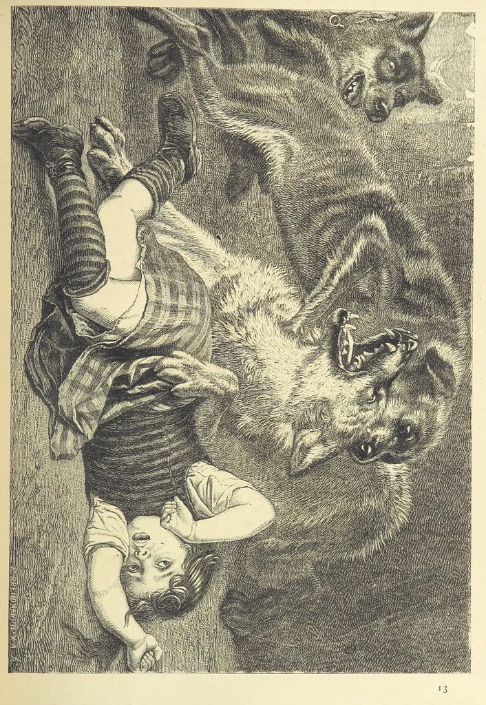 An illustration from Adventures round the World. With ... illustrations, 1880, leaf 205