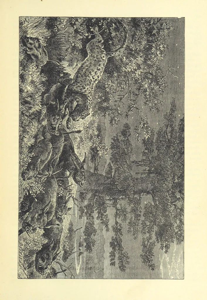 An illustration from Adventures round the World. With ... illustrations, 1880, leaf 21
