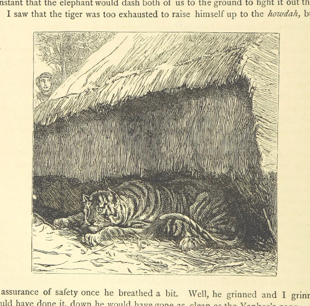 An illustration from Adventures round the World. With ... illustrations, 1880, leaf 254