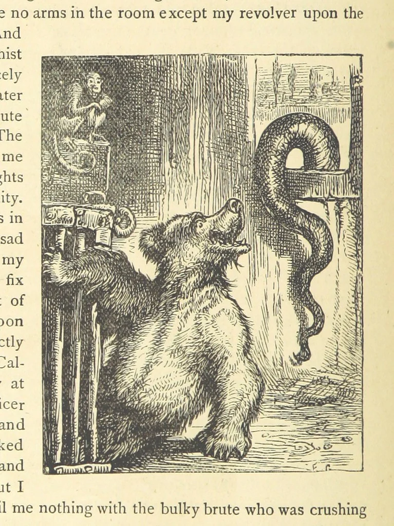 An illustration from Adventures round the World. With ... illustrations, 1880, leaf 256