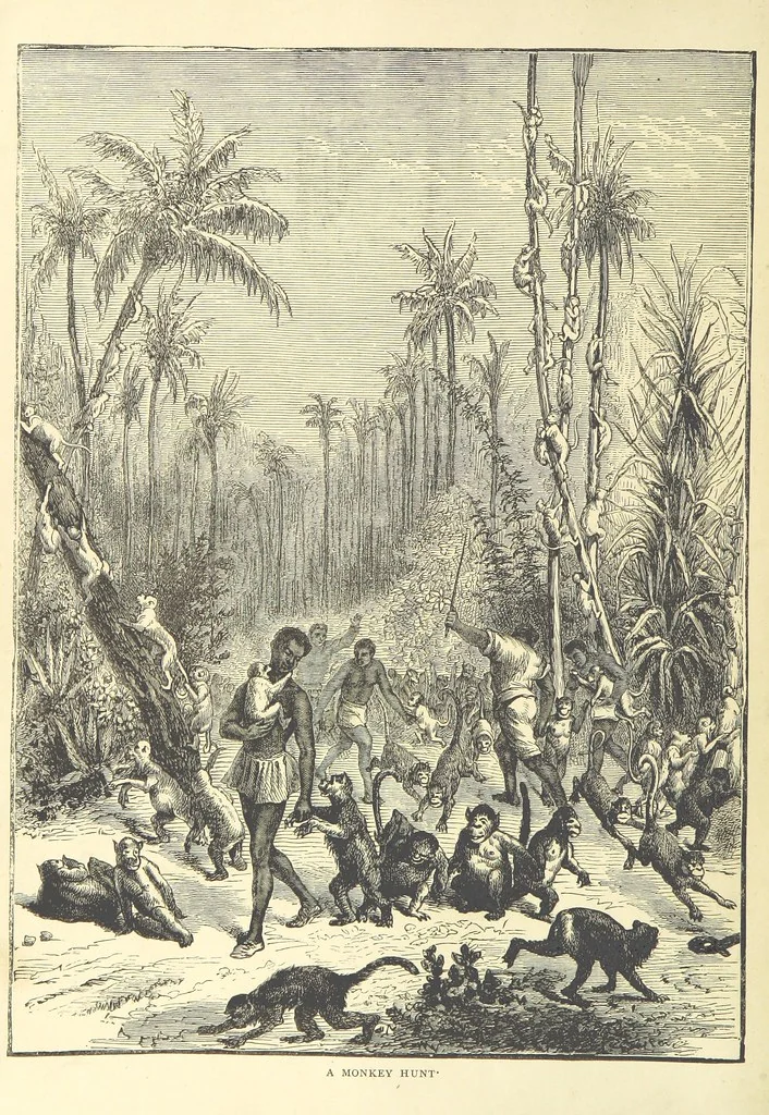 An illustration from Adventures round the World. With ... illustrations, 1880, leaf 8