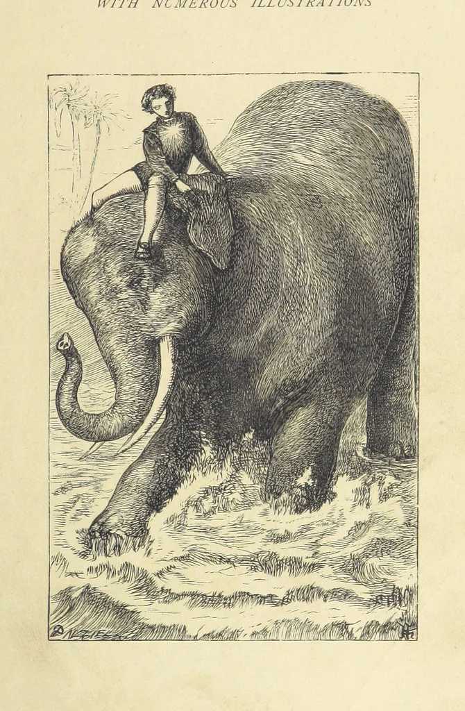 An illustration from Adventures round the World. With ... illustrations, 1880, leaf 9