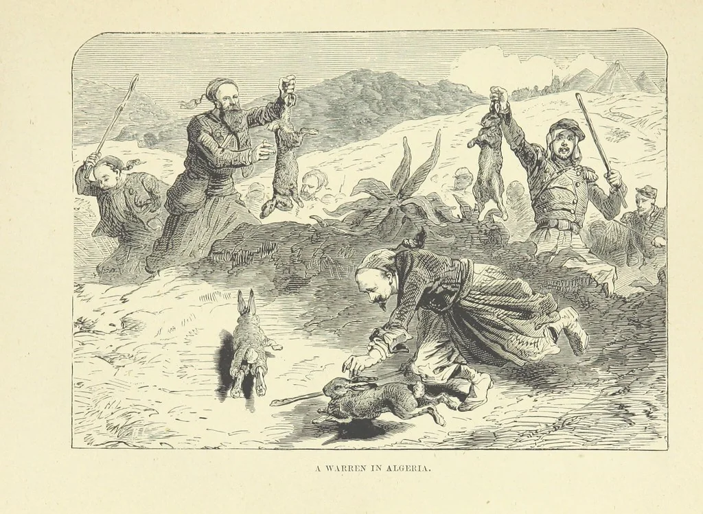 An illustration from The Land of the Lion; or, Adventures among the wild animals of Africa. With ... illustrations, 1876, leaf 103