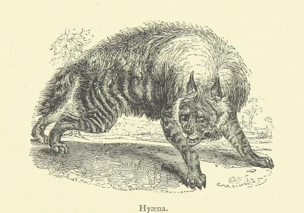 An illustration from The Land of the Lion; or, Adventures among the wild animals of Africa. With ... illustrations, 1876, leaf 157