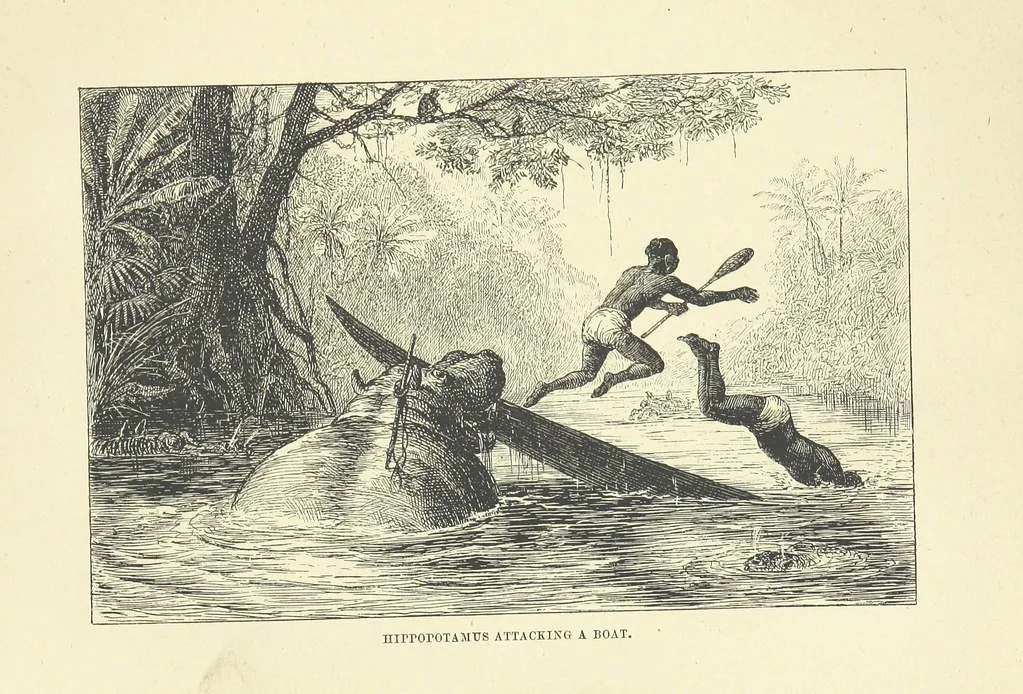 An illustration from The Land of the Lion; or, Adventures among the wild animals of Africa. With ... illustrations, 1876, leaf 163