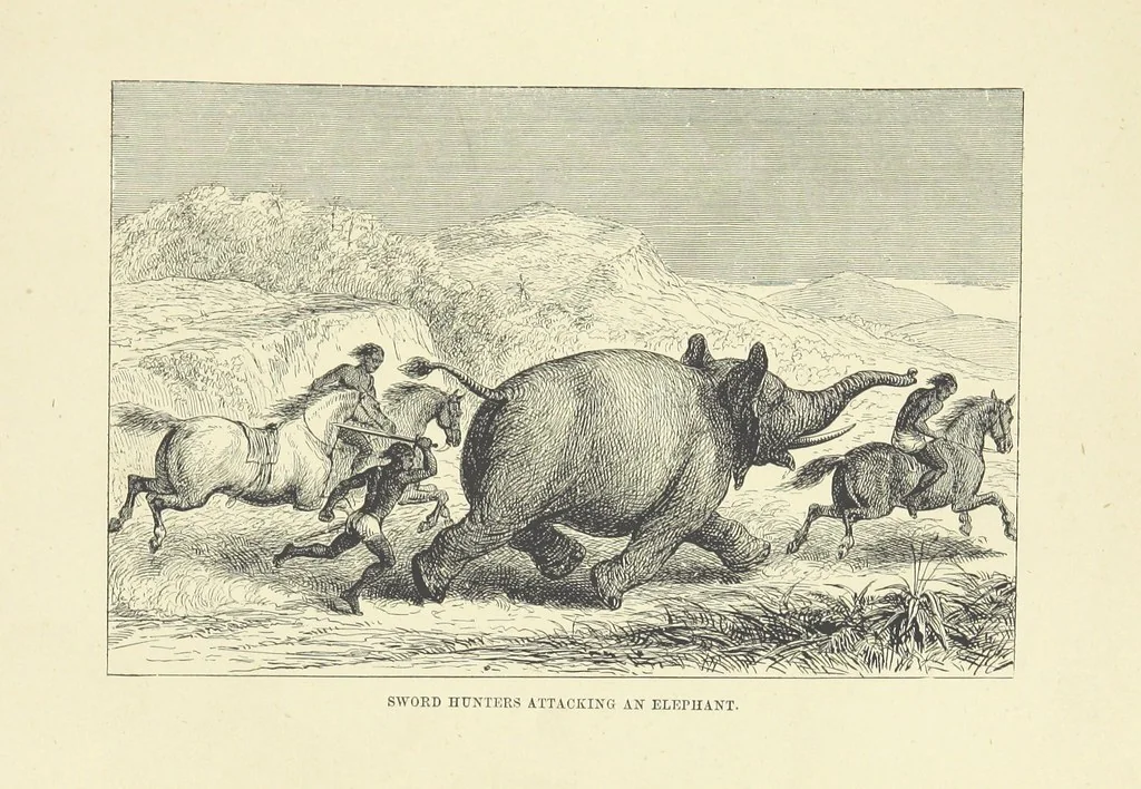 An illustration from The Land of the Lion; or, Adventures among the wild animals of Africa. With ... illustrations, 1876, leaf 197