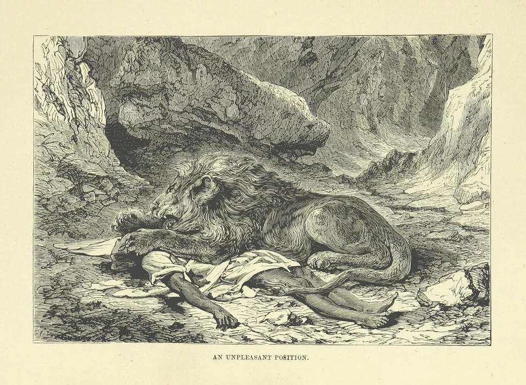 An illustration from The Land of the Lion; or, Adventures among the wild animals of Africa. With ... illustrations, 1876, leaf 49