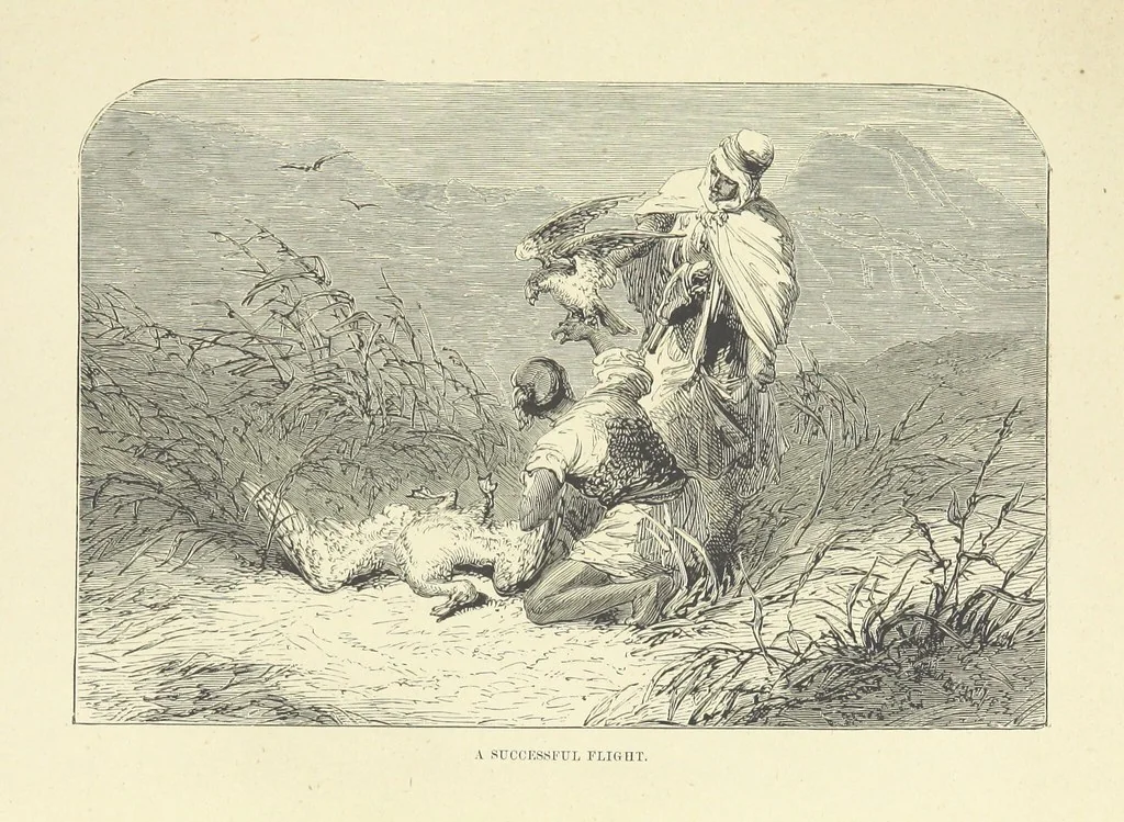 An illustration from The Land of the Lion; or, Adventures among the wild animals of Africa. With ... illustrations, 1876, leaf 69