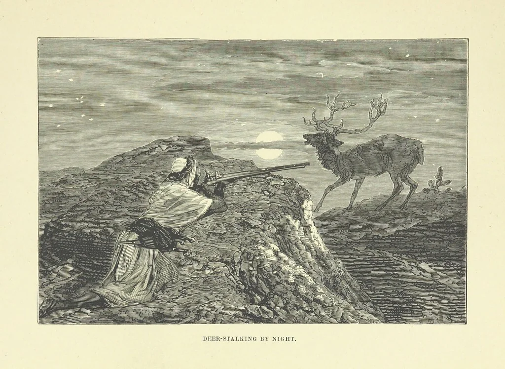 An illustration from The Land of the Lion; or, Adventures among the wild animals of Africa. With ... illustrations, 1876, leaf 81