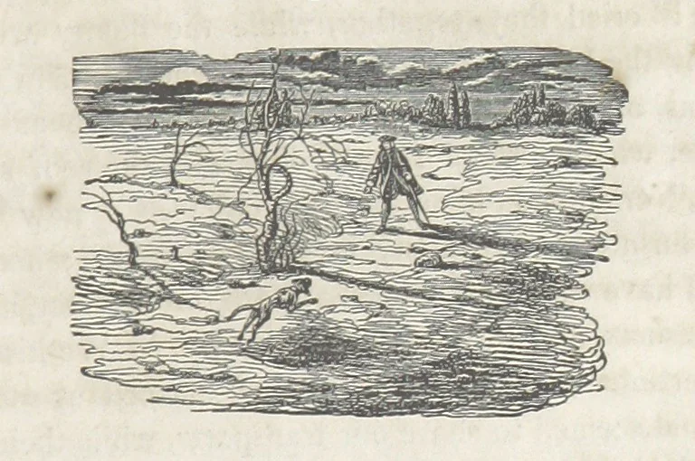 An illustration from The Vicar of Wakefield ... Illustrated with numerous engravings. With an account of the author's life and writings by J. Aikin, 1850, leaf 201