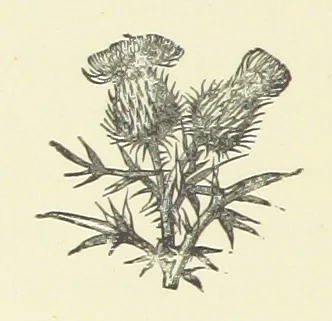 An illustration from Saved by a Secret. A story of Siberian exile and adventure, 1892, leaf 104