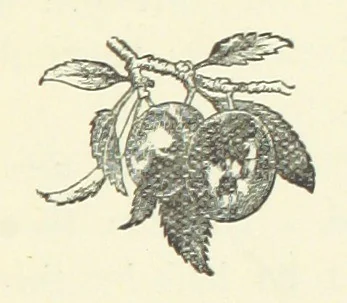 An illustration from Saved by a Secret. A story of Siberian exile and adventure, 1892, leaf 121