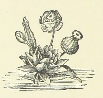 An illustration from Saved by a Secret. A story of Siberian exile and adventure, 1892, leaf 136