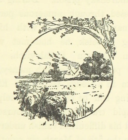An illustration from Saved by a Secret. A story of Siberian exile and adventure, 1892, leaf 235