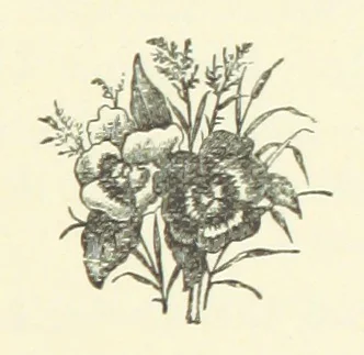 An illustration from Saved by a Secret. A story of Siberian exile and adventure, 1892, leaf 43