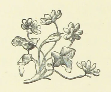 An illustration from Saved by a Secret. A story of Siberian exile and adventure, 1892, leaf 92