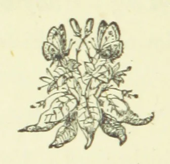 An illustration from Merry England: or, Nobles and Serfs, 1874, leaf 216