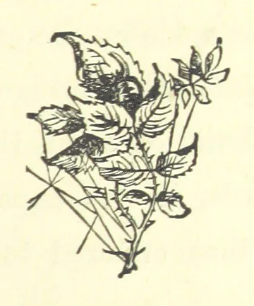 An illustration from Merry England: or, Nobles and Serfs, 1874, leaf 231