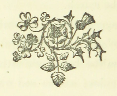 An illustration from Merry England: or, Nobles and Serfs, 1874, leaf 212