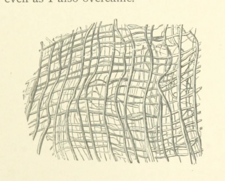 An illustration from The Riviera: pen and pencil sketches from Cannes to Genoa ... With ... chromo-lithographic illustrations ... from drawings by the author, 1870, leaf 123