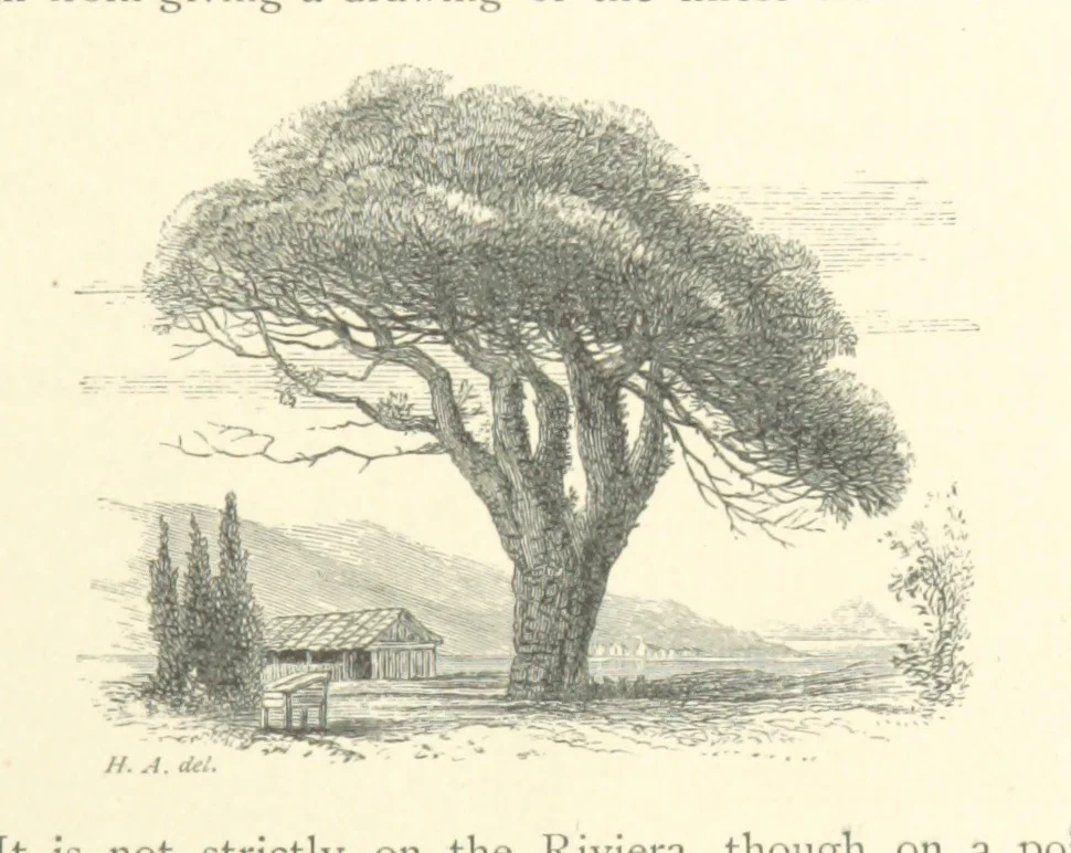 An illustration from The Riviera: pen and pencil sketches from Cannes to Genoa ... With ... chromo-lithographic illustrations ... from drawings by the author, 1870, leaf 179