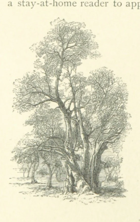 An illustration from The Riviera: pen and pencil sketches from Cannes to Genoa ... With ... chromo-lithographic illustrations ... from drawings by the author, 1870, leaf 180