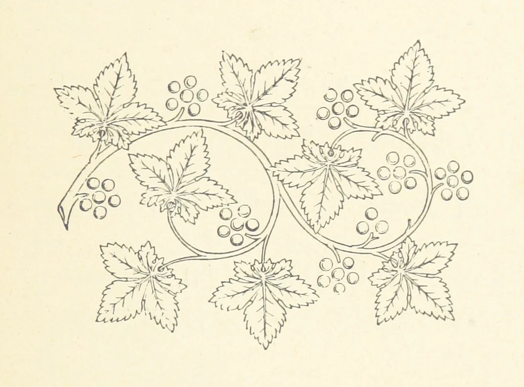 An illustration from Notice sur le château, les anciens seigneurs et la paroisse de Mauvezin, près Marmande ... Accompagnée de nombreux dessins, etc. [With an introduction by J. P. Tamizey de Larroque, 1887, leaf 121