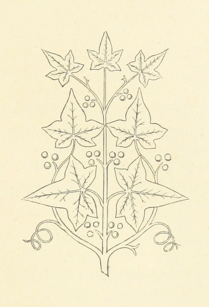 An illustration from Notice sur le château, les anciens seigneurs et la paroisse de Mauvezin, près Marmande ... Accompagnée de nombreux dessins, etc. [With an introduction by J. P. Tamizey de Larroque, 1887, leaf 21