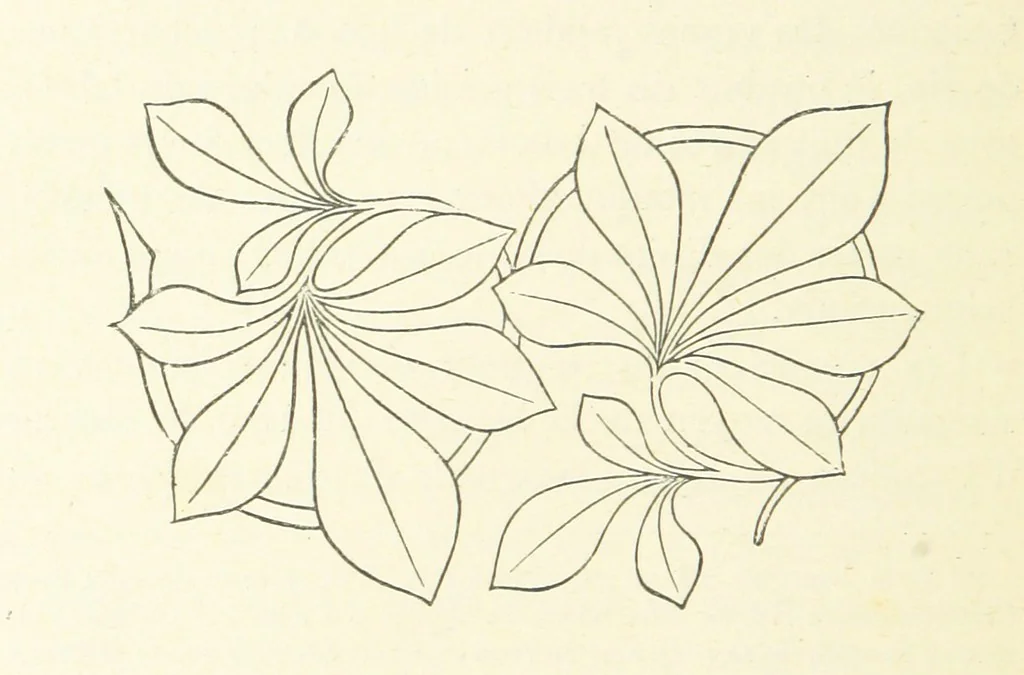 An illustration from Notice sur le château, les anciens seigneurs et la paroisse de Mauvezin, près Marmande ... Accompagnée de nombreux dessins, etc. [With an introduction by J. P. Tamizey de Larroque, 1887, leaf 228