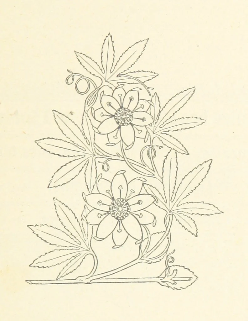 An illustration from Notice sur le château, les anciens seigneurs et la paroisse de Mauvezin, près Marmande ... Accompagnée de nombreux dessins, etc. [With an introduction by J. P. Tamizey de Larroque, 1887, leaf 229