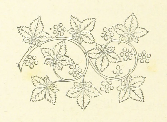 An illustration from Notice sur le château, les anciens seigneurs et la paroisse de Mauvezin, près Marmande ... Accompagnée de nombreux dessins, etc. [With an introduction by J. P. Tamizey de Larroque, 1887, leaf 44