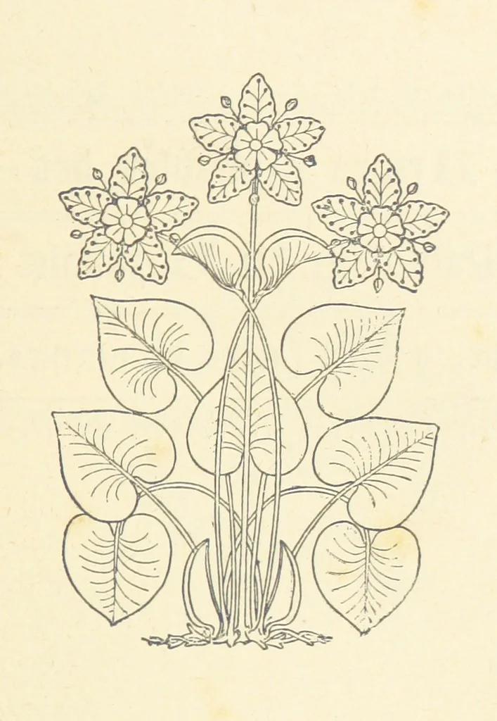 An illustration from Notice sur le château, les anciens seigneurs et la paroisse de Mauvezin, près Marmande ... Accompagnée de nombreux dessins, etc. [With an introduction by J. P. Tamizey de Larroque, 1887, leaf 45