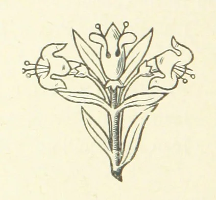 An illustration from Notice sur le château, les anciens seigneurs et la paroisse de Mauvezin, près Marmande ... Accompagnée de nombreux dessins, etc. [With an introduction by J. P. Tamizey de Larroque, 1887, leaf 518